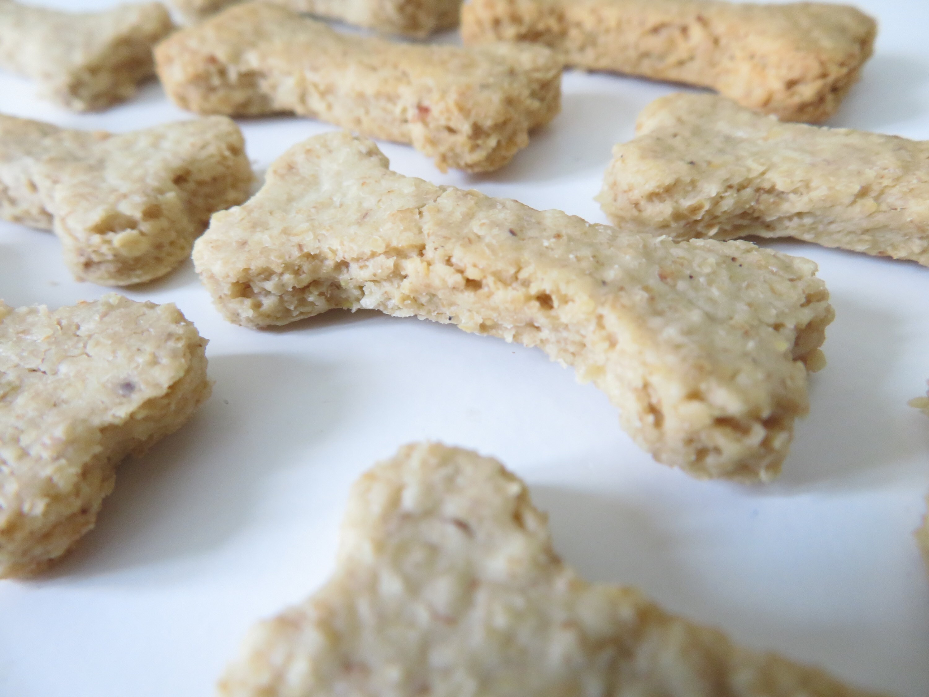 Cheese Dog Treats Homemade Training Treats Healthy Treats Etsy