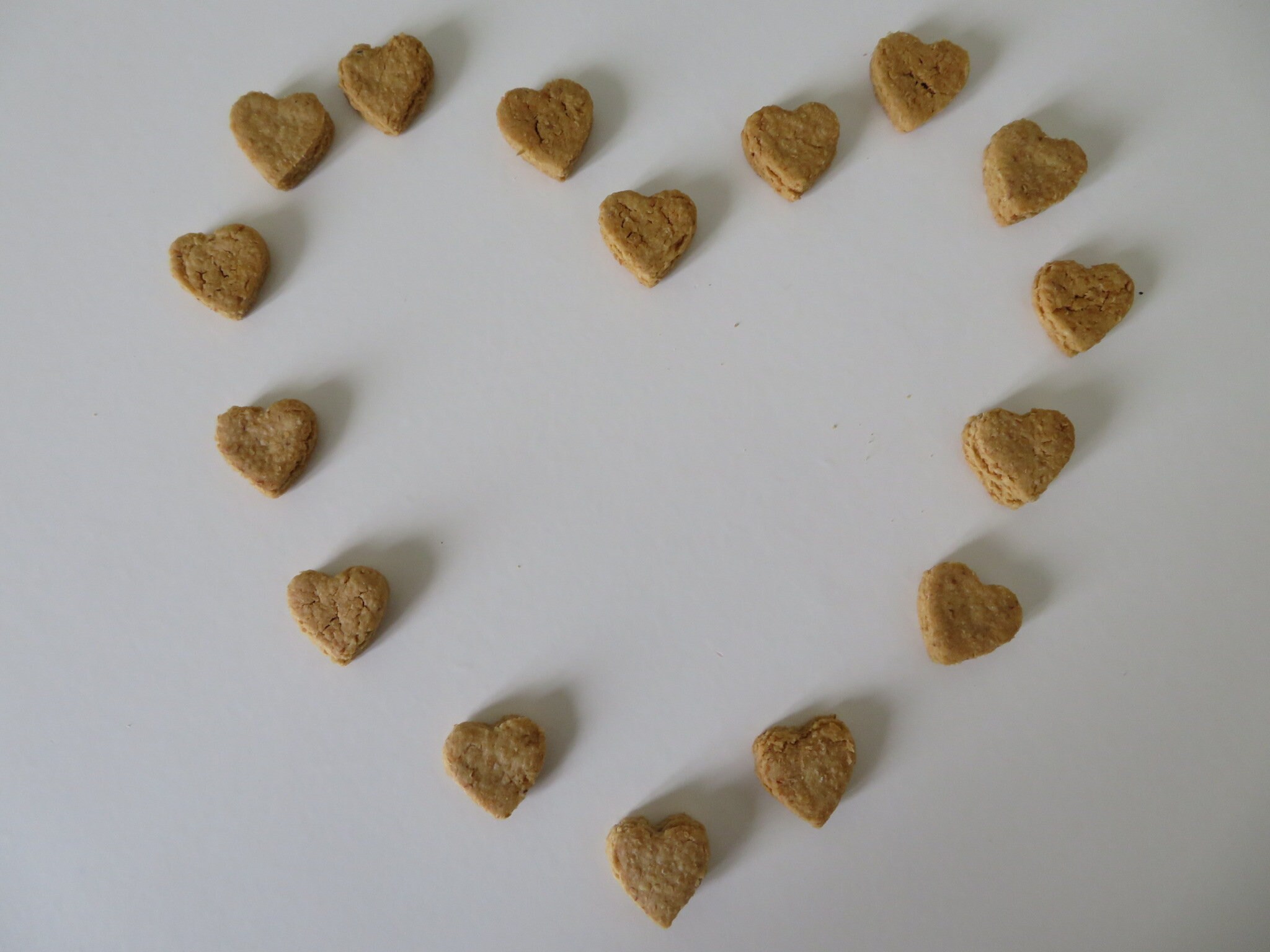 Homemade Cat Treats Healthy Cat Treats Cheese Cat Treats Etsy