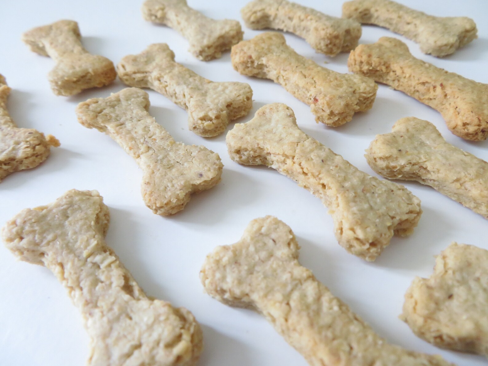 Cheese Dog Treats Homemade Training Treats Healthy Treats Etsy