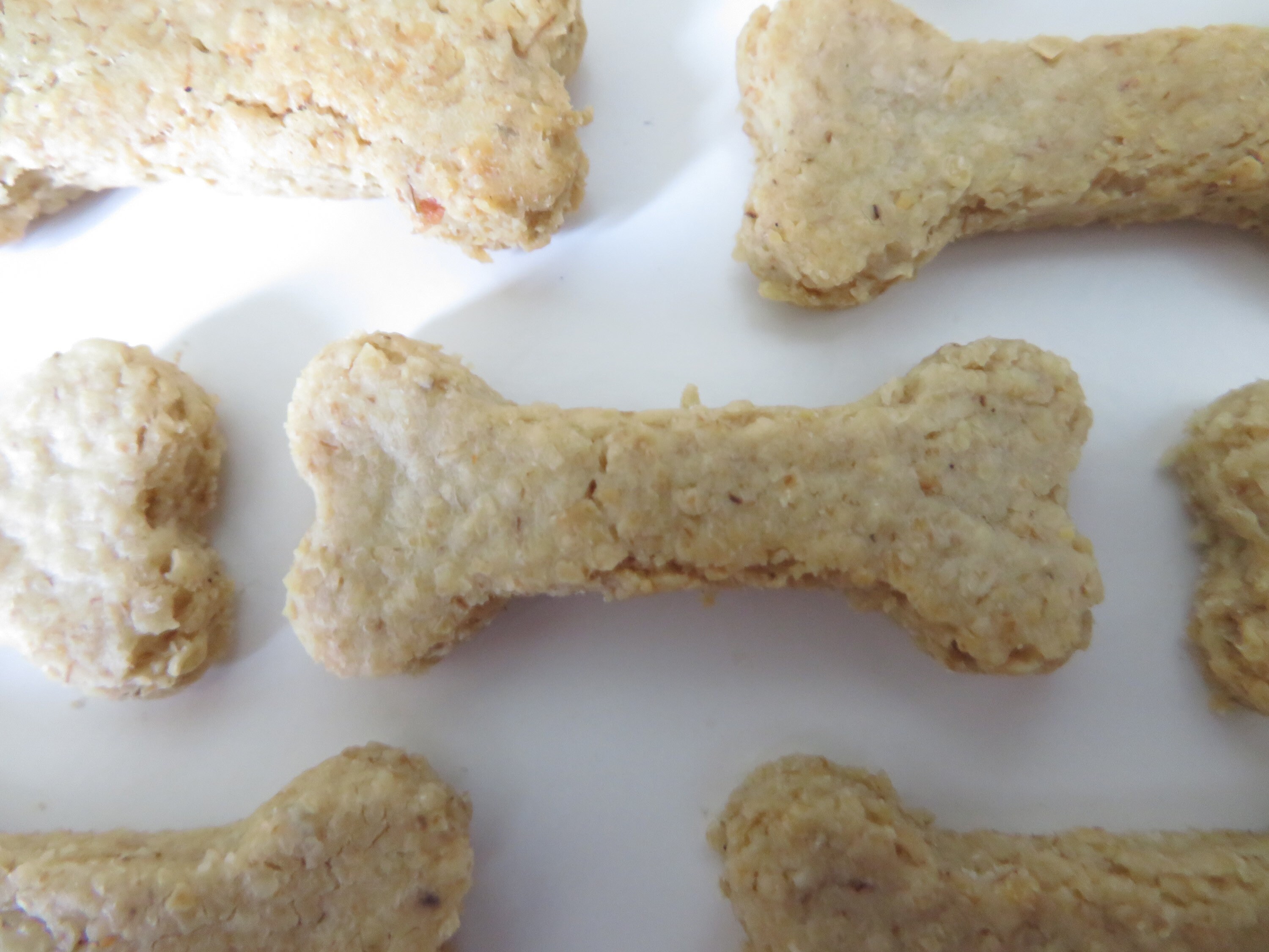 Cheese Dog Treats Homemade Training Treats Healthy Treats Etsy