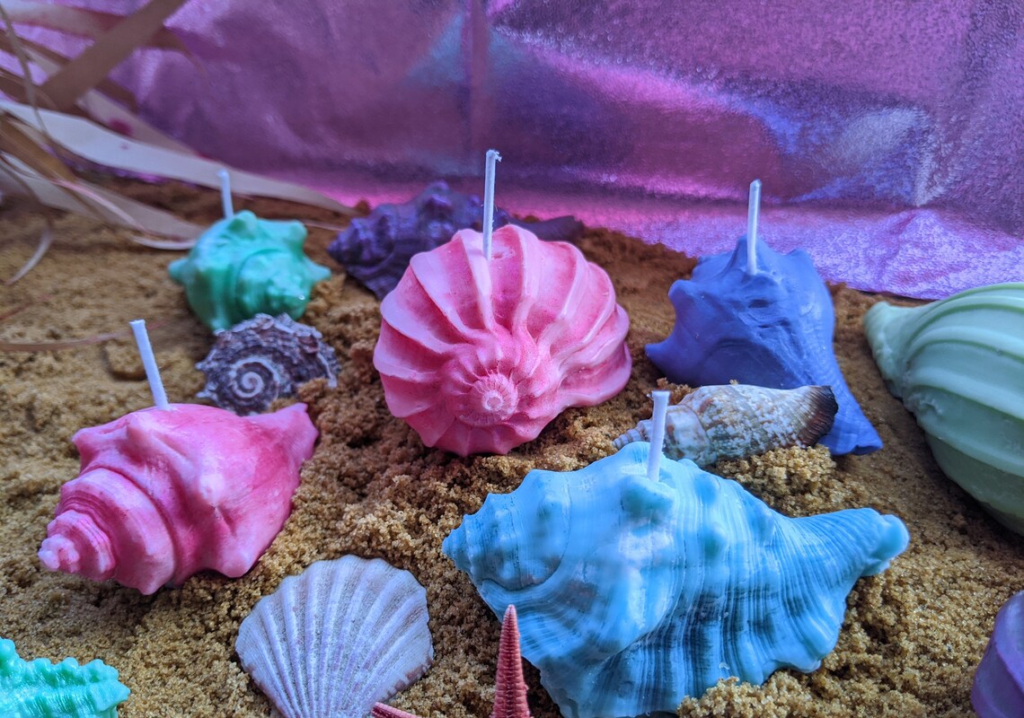 Seashell Candles 6pk Etsy