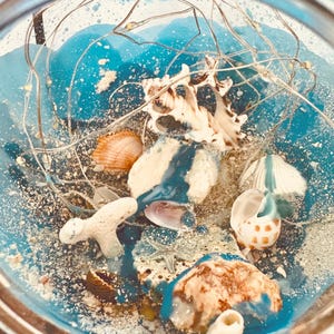 Aruba Shell Night Light: Coastal Beach Decor with Fairy Lights