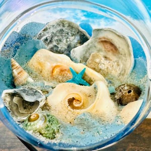 Sztuka na plaży Outer Banks: terrarium ze szkła enkaustycznego z muszlami