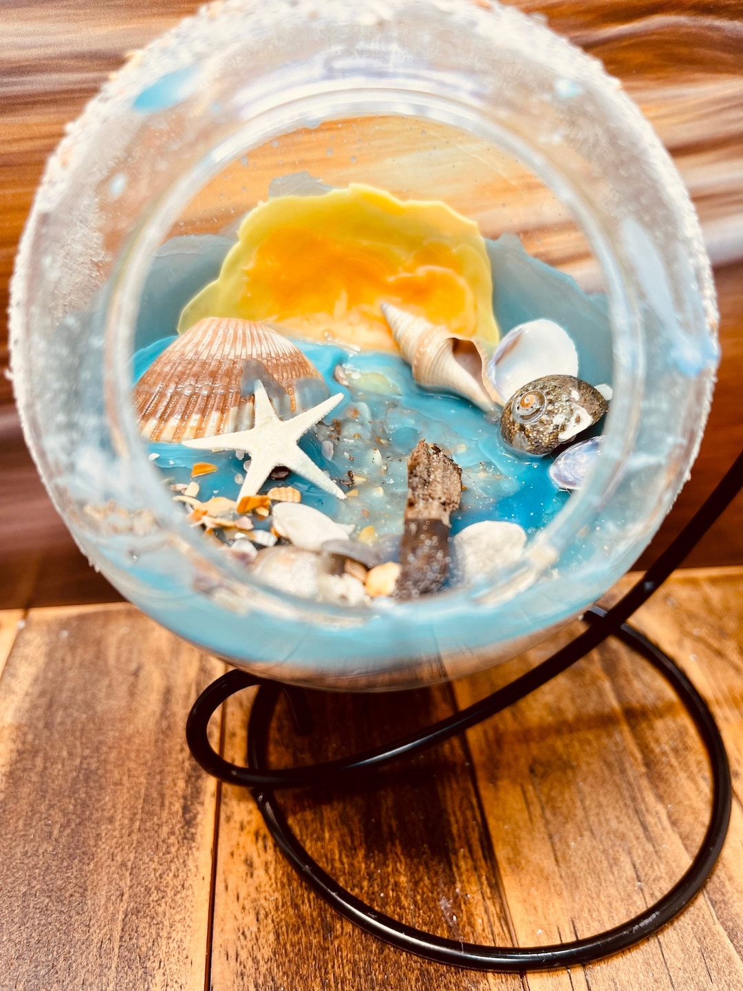 Seashell Art St Augustine Beach Terrarium Hanging Art Ocean Etsy UK
