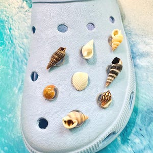 Ciondoli per scarpe Jibbitz con vere conchiglie, ciondoli da spiaggia, gioielli per scarpe, regali di compleanno, calze della Befana, accessori per l&#39;oceano,