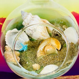 May include: A glass orb filled with sand and various seashells, including a large white seashell, a smaller brown seashell, and a blue seashell.
