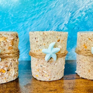 Beach Starfish Candle: Coastal Candleholder with Florida Seashells