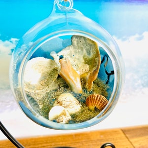 May include: A clear, spherical glass terrarium filled with sand and seashells. It hangs from a natural twine cord. The background shows a blurred image of a beach and sky, evoking a coastal theme.