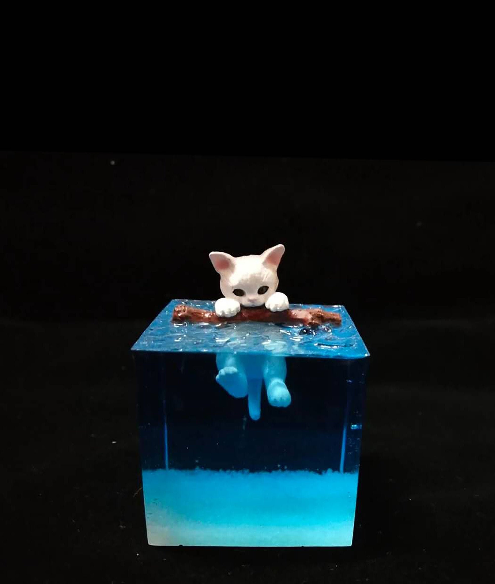 Cat Resin Cube Resin Ornament Resin Cube Art Birthday Gift Etsy