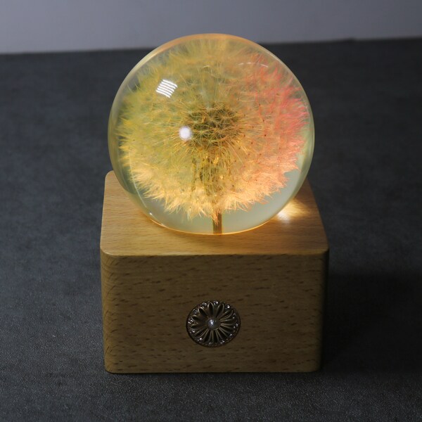 Dandelion Night Light Real Dandelion Puff Paperweight Flower