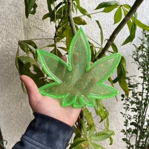 Plateau de feuilles de pot