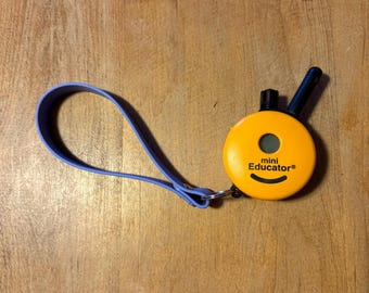 Biothane Keychain, Wristlet for ECollar Remote or Keys