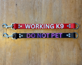 Personalized Biothane Dog Leash Extender