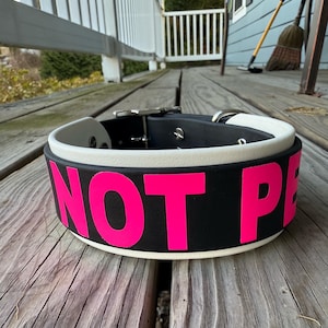 以下が含まれることがあります： 鮮やかなピンク色のブロック文字で「NOT P」と書かれた、白と黒の犬用首輪。 首輪にはシルバーのバックルが付いており、木製のデッキの上に置かれています。