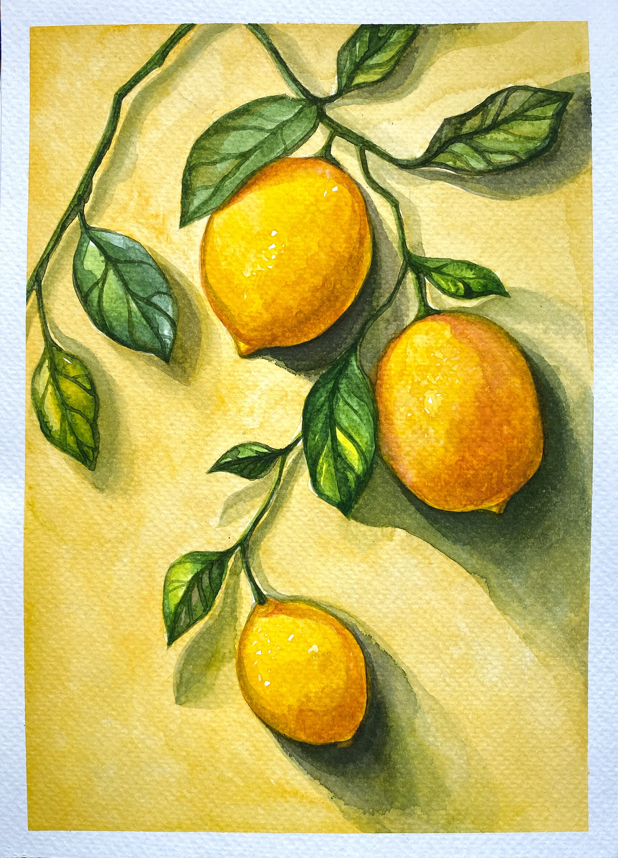 Lemon Painting Watercolor Drawing Lemon Branch Original Art - Etsy UK