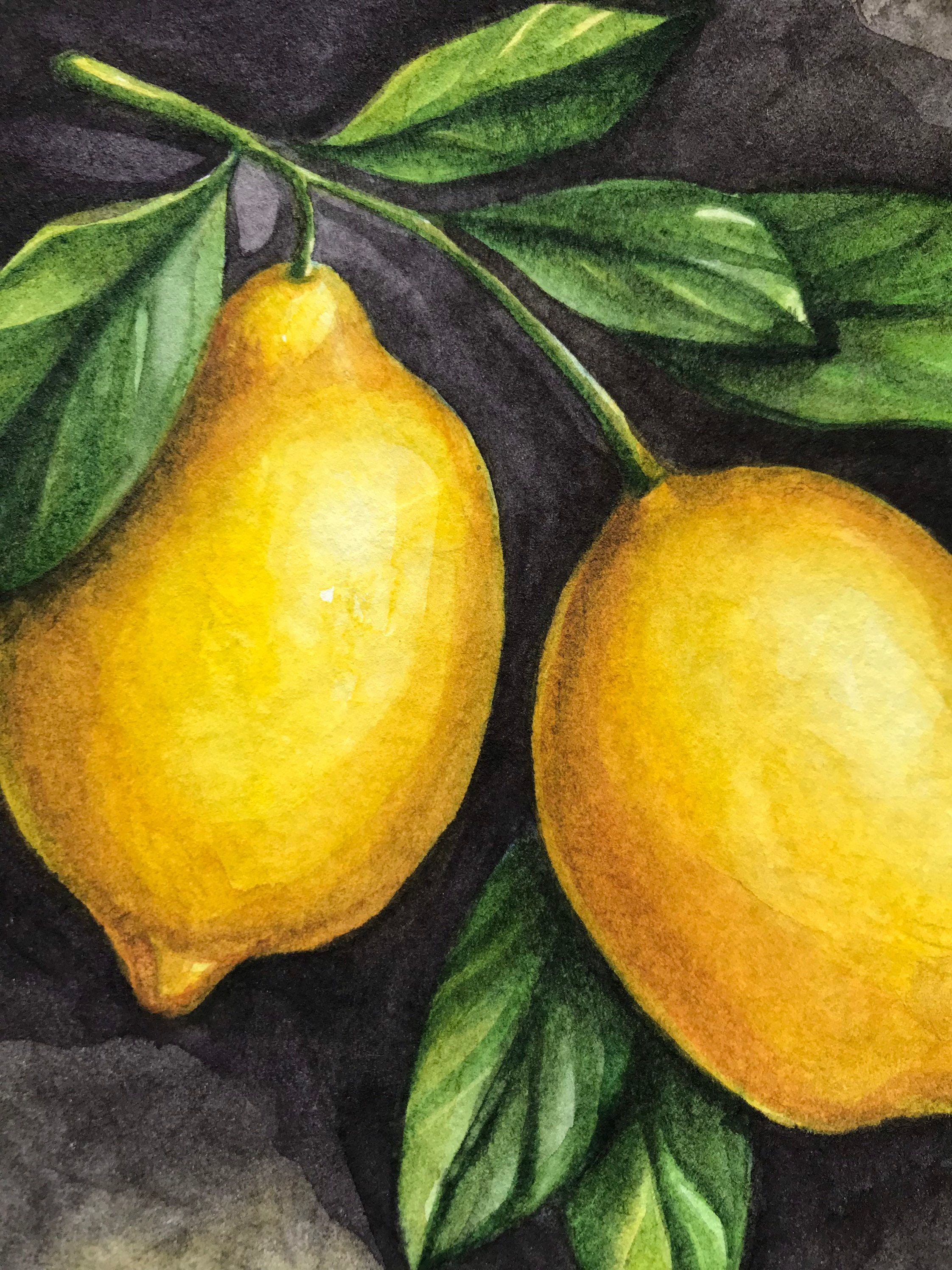 Lemon Branch Painting Original Watercolor Art Drawing 5x55 - Etsy