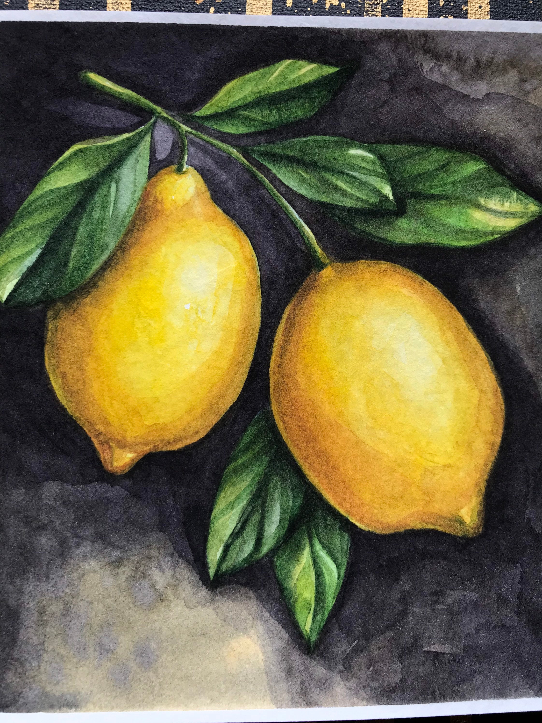 Lemon Branch Painting Original Watercolor Art Drawing 5x55 - Etsy