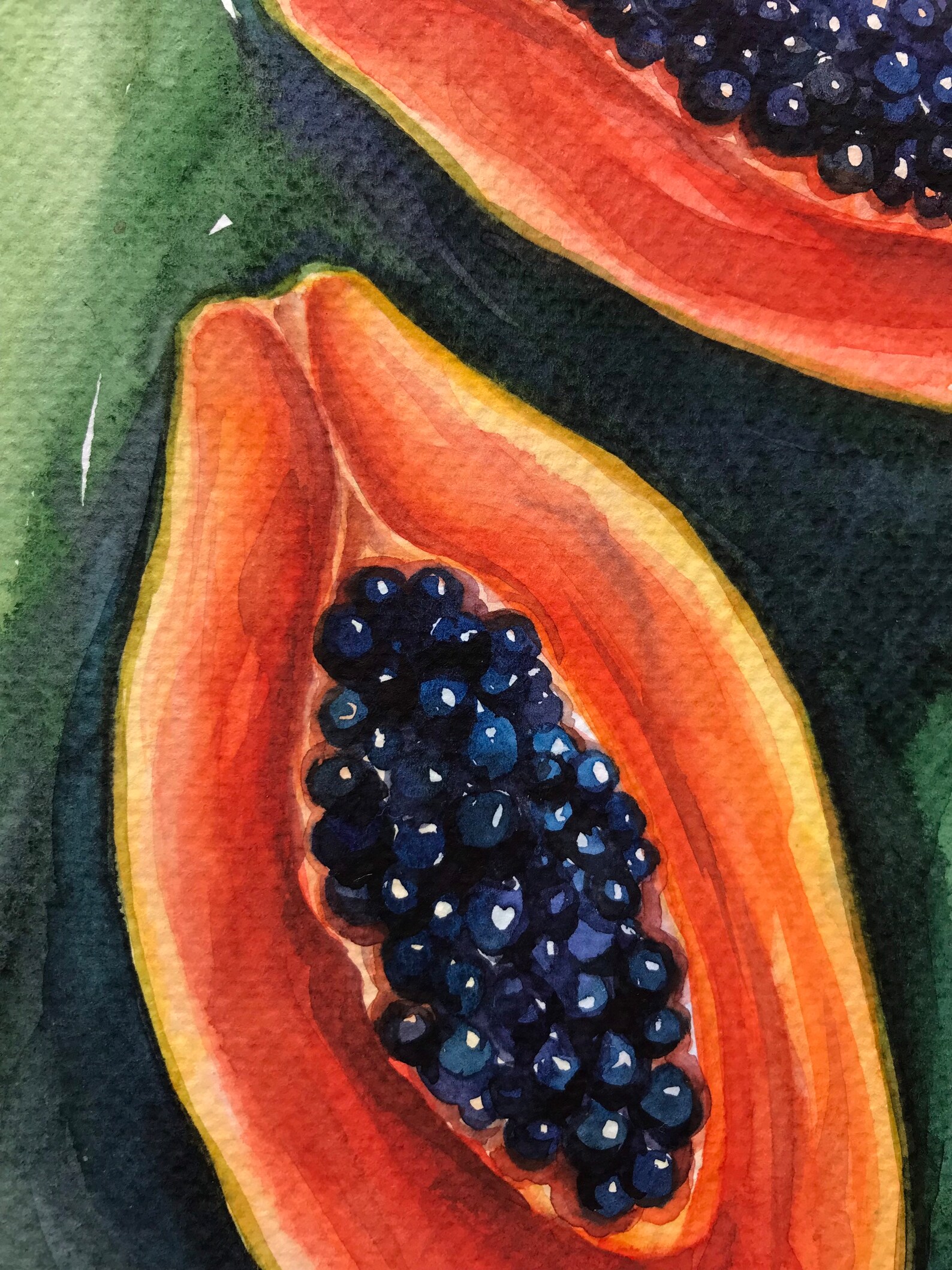 Papaya Watercolor Painting Exotic Fruit Original Art Tropical Papaya