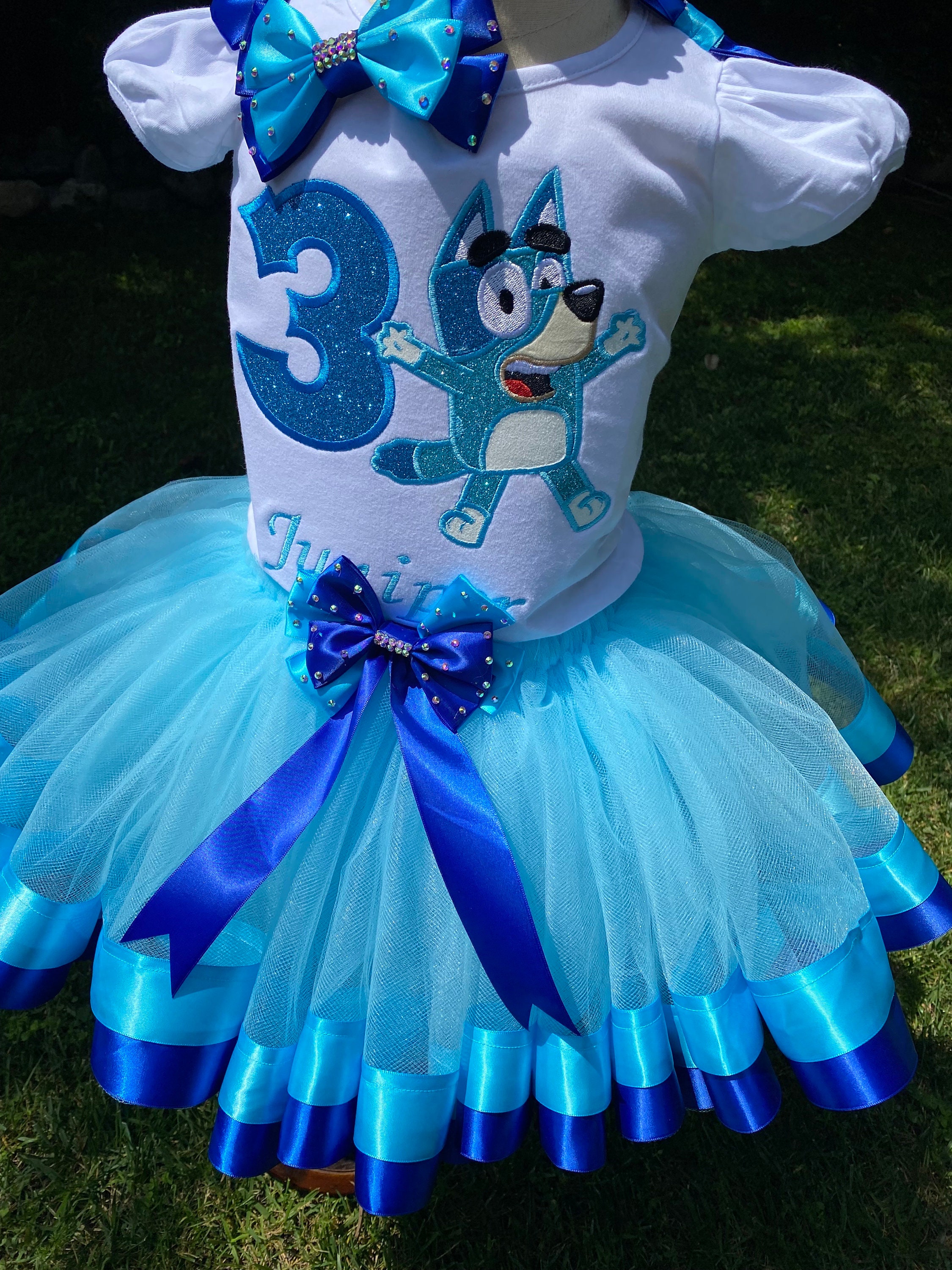 Custom Embroidered Blue Outfit