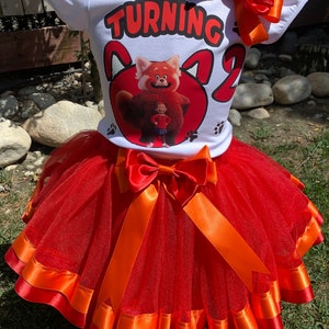 Red Bear Birthday Outfit