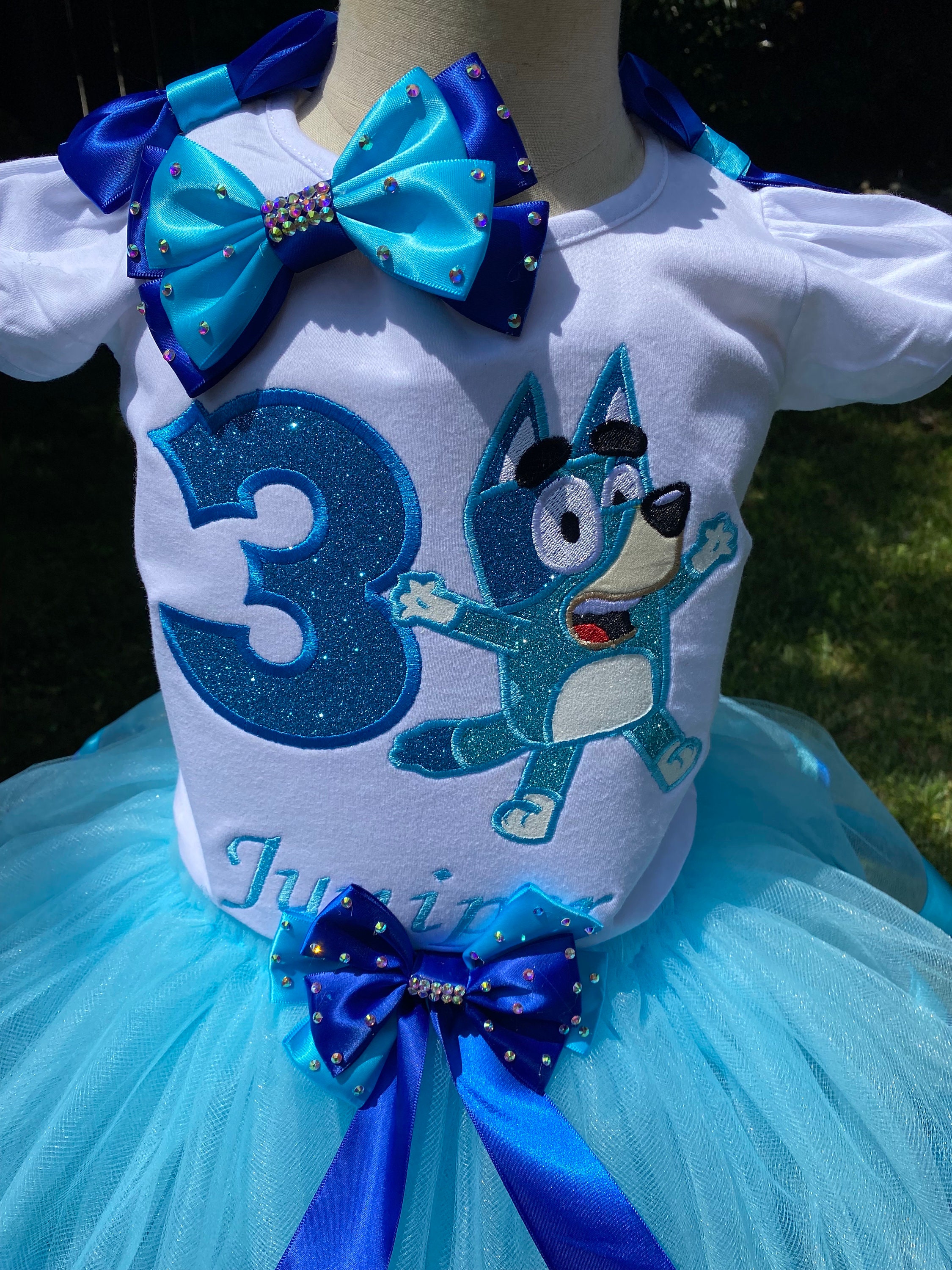 Custom Embroidered Blue Outfit