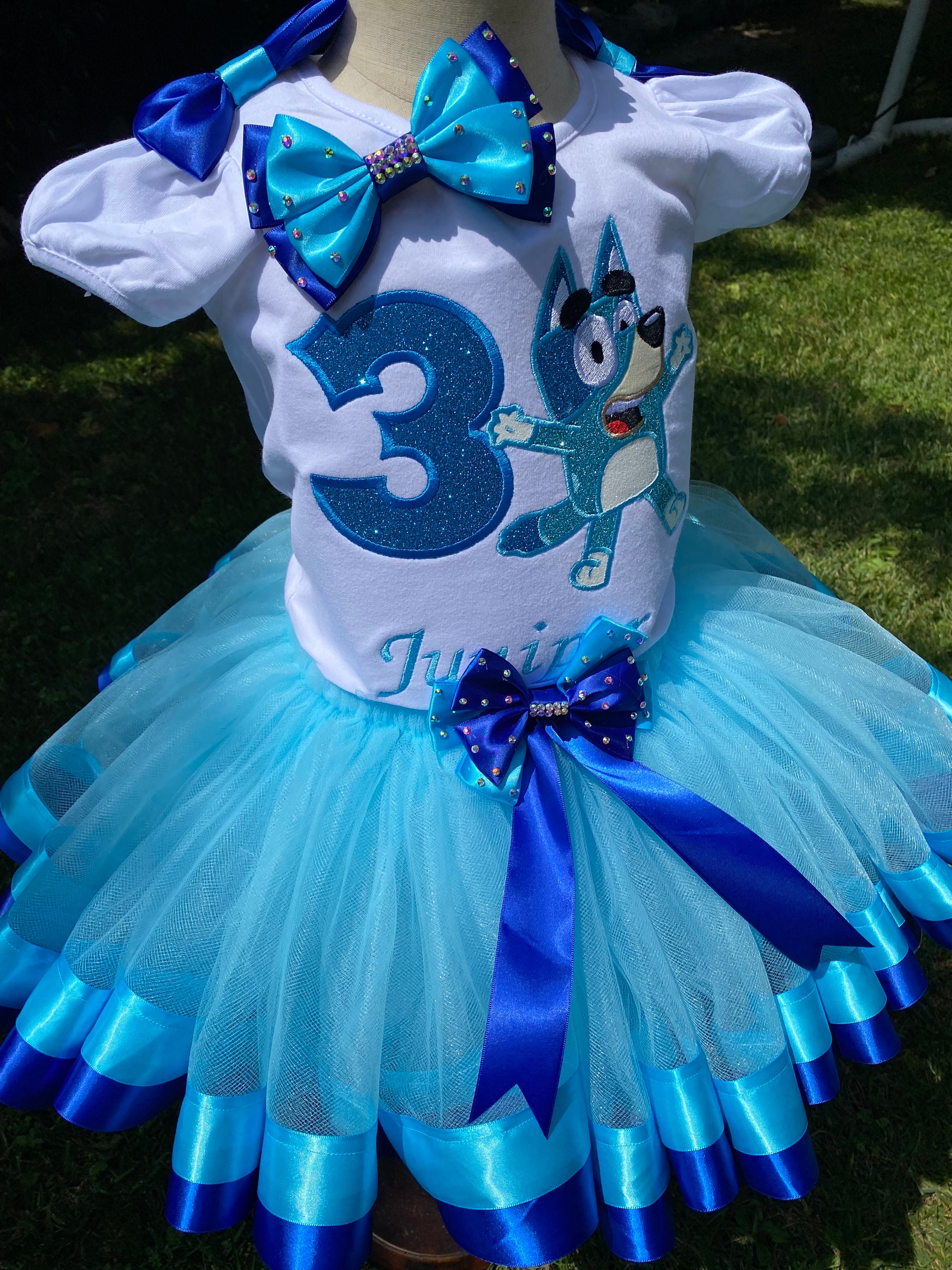 Custom Embroidered Blue Outfit