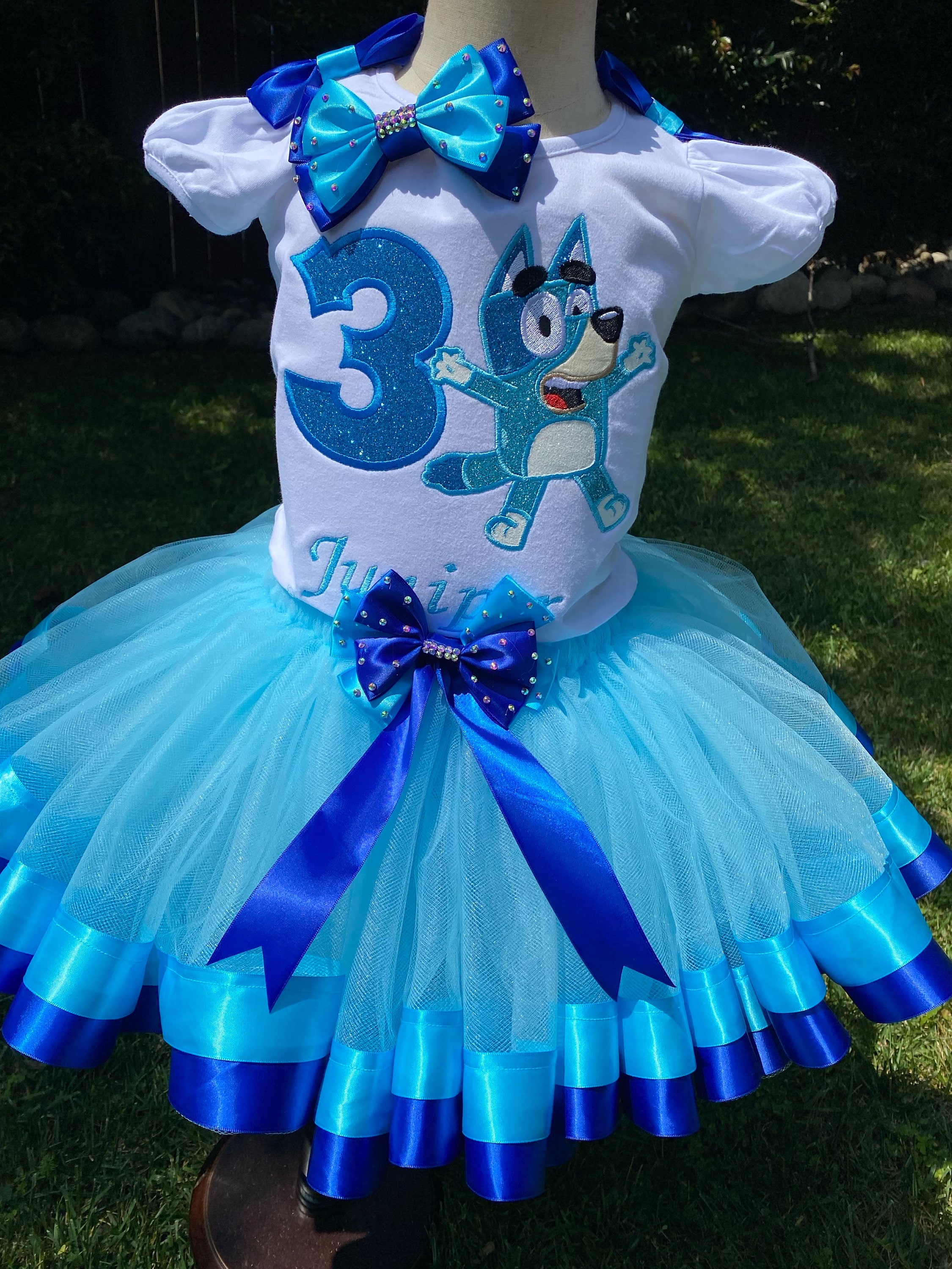 Custom Embroidered Blue Outfit