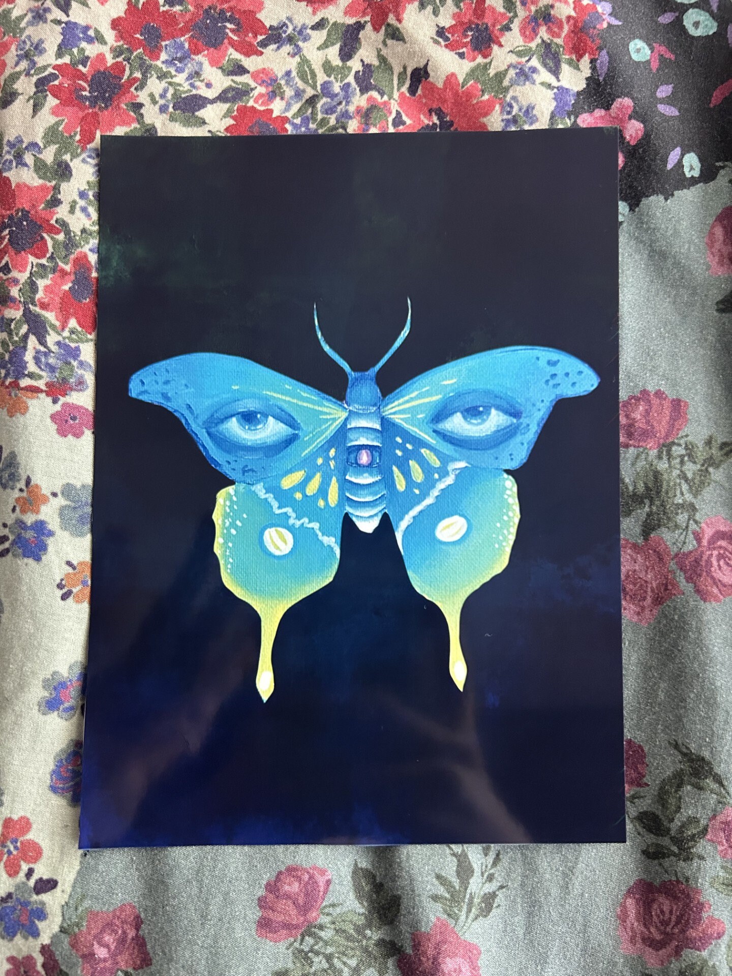 Moth Art Print - Etsy