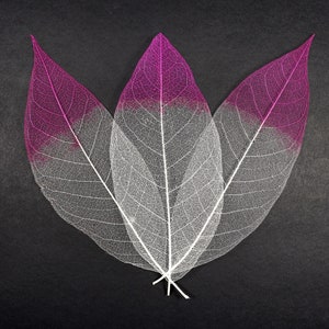 Feuilles squelettes transparentes teintes naturellement pour travaux manuels, résine, journal, scrapbooking, fabrication de cartes - 3 pièces, feuilles de dentelle blanches et violettes