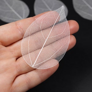 White See-through Flat Vein Skeleton Leaves for Crafts, Resin, Journals, Scrapbooking, Cardmaking 6 pcs Lacy Leaf image 5