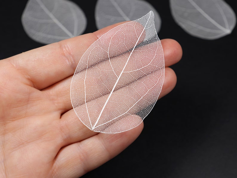 White See-through Flat Vein Skeleton Leaves for Crafts, Resin, Journals, Scrapbooking, Cardmaking 6 pcs Lacy Leaf image 5