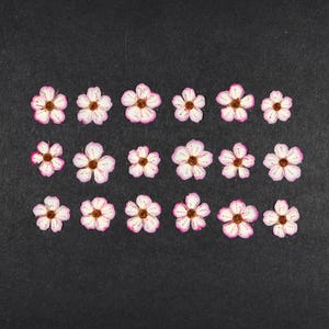 Petites fleurs pressées pour travaux manuels, résine, journal, scrapbooking, fabrication de cartes - 18 pcs spirées séchées roses