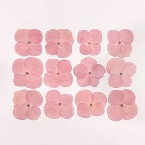 Fleurs pressées rose clair pour travaux manuels, résine, journal, scrapbooking, fabrication de cartes - 12 pcs fleurs d'hortensia séchées