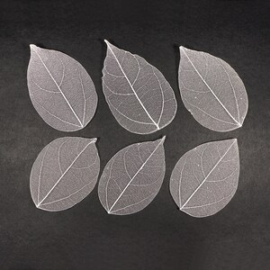 Feuilles squelettes transparentes blanc cassé pour travaux manuels, résine, journaux, scrapbooking, fabrication de cartes - 6 feuilles de dentelle