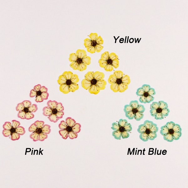 Pressed Tiny Flowers for Crafts, Jewelry, Resin, Journal, Cardmaking - 24 pcs Dried Colorful Miniature Blue Pink Yellow Spirea Daisy-like