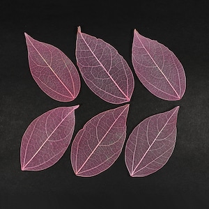 Pink See-through Flat Vein Skeleton Leaves for Crafts, Resin, Journals, Scrapbooking, Cardmaking - 6 pcs Lacy Leaf