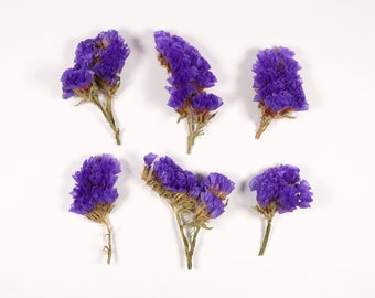 Purple Dried Flowers for Crafts, Resin Jewelry, Resin Casting in the Molds - 6 pcs Violet Limonium