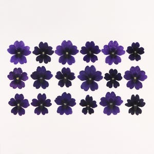 Encre compacte Fleurs bleues pour travaux manuels, résine, journal, scrapbooking, fabrication de cartes - 18 pcs verveine séchée bleu foncé
