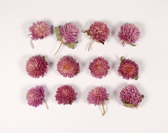 Pink Dried Flowers for Miniature Crafts, Resin Jewelry, Casting in Sphere Molds - 12 pcs Globe Amaranth Flower
