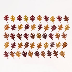 Petites feuilles de chêne d'automne pour travaux manuels, résine, journal, miniature, fabrication de cartes - 50 pcs - feuilles perforées pour passe-temps, cadeau de jardin pour amoureux de la nature