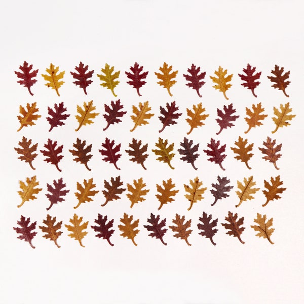 Tiny Autumn Oak Leaves for Crafts, Resin, Journal, Miniature, Cardmaking - 50 pcs - Punched Leaves for Hobby, Nature lover Garden Gift