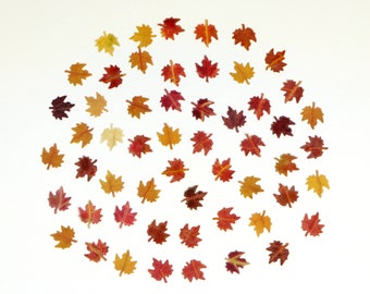 Tiny Autumn Maple Leaves for Crafts, Resin, Journal, Miniature, Cardmaking - 50 pcs - Punched Leaves for Hobby, Nature lover Garden Gift