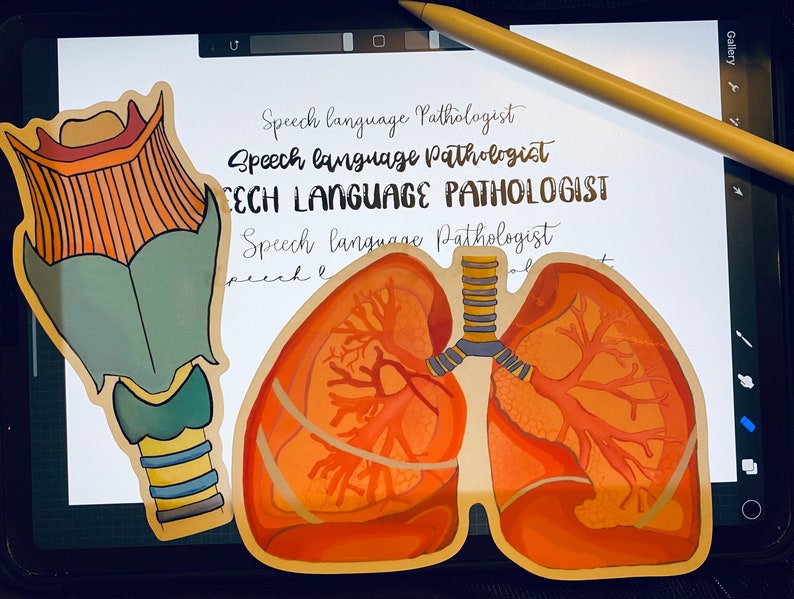 lungs Transparent sticker
