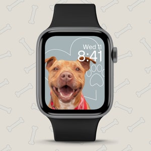Pode incluir: Um smartwatch com uma face cinza e uma banda preta. A face mostra um cão marrom e branco com uma bandana vermelha, um coração e a hora "Wed 11 8:41".