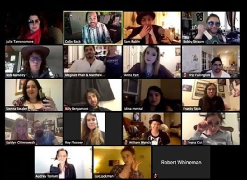 May include: A screen capture of a video call with 16 participants. Each participant is in a separate video frame. The video frames are arranged in a grid of four rows and four columns. The participants are all wearing different clothing and are in different locations. The video call is titled "Robert Whineman".