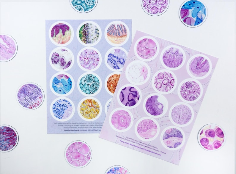 Microscopic Sticker Lab Microscopic Stickersheet Set: Pretty in Pink + Colorful Histology ...