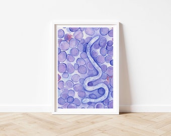 Art Print "Veterinary Cytology - Infectious Diseases": Microfilaria