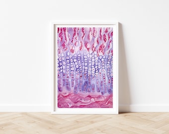 May include: A framed watercolor print featuring a detailed, abstract depiction of biological tissue. The artwork showcases a gradient of colors, transitioning from deep pinks and purples at the base to lighter shades at the top, with a grid-like structure.