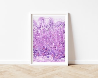 May include: A framed print featuring a detailed, abstract watercolor illustration. The artwork showcases a close-up view of a biological structure, with a predominant color palette of purples and pinks. The image is framed in a white border.