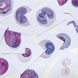 Watercolor Postcard Set: Bloodcells -  17 cards